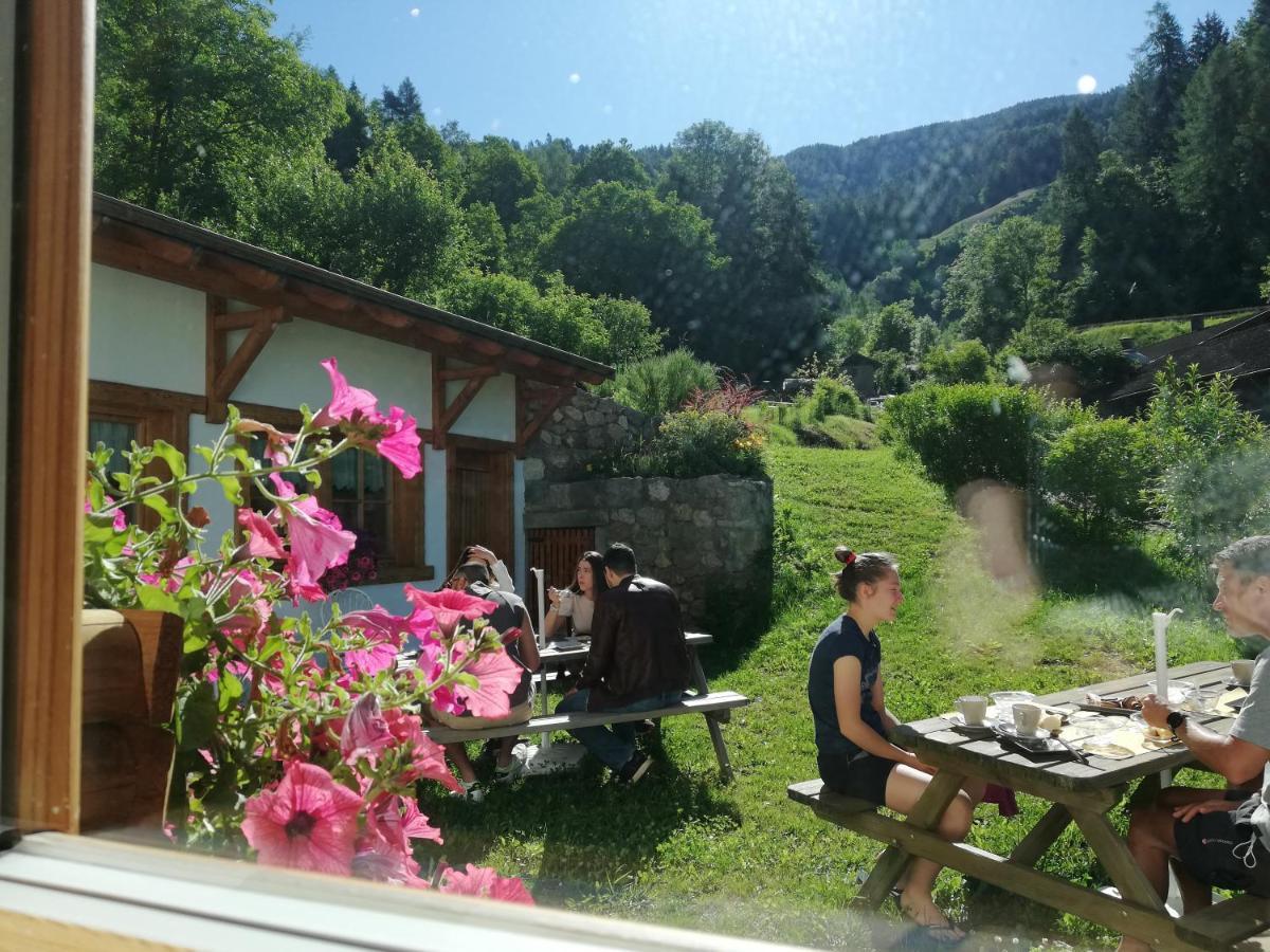 Farm stay Dalla Natura La Salute *